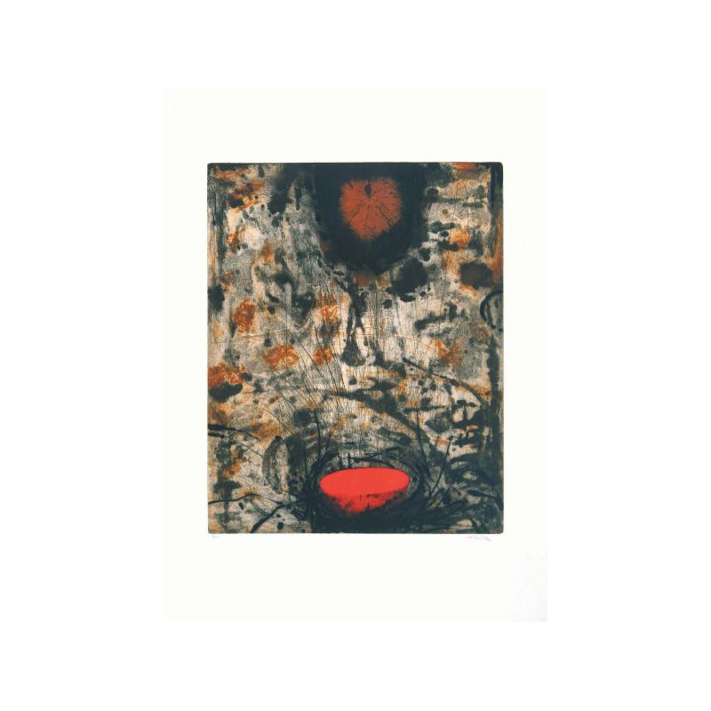 Segreta geometria 2005