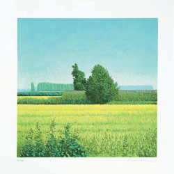 Mario Corrieri - Paesaggi 1