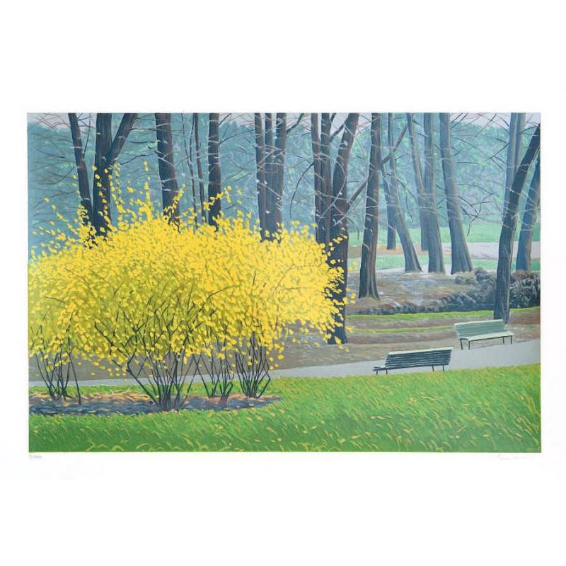 Mario Corrieri - Forsizie