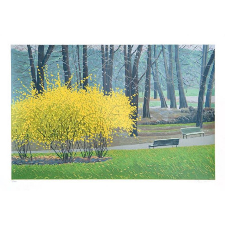 Mario Corrieri - Forsizie